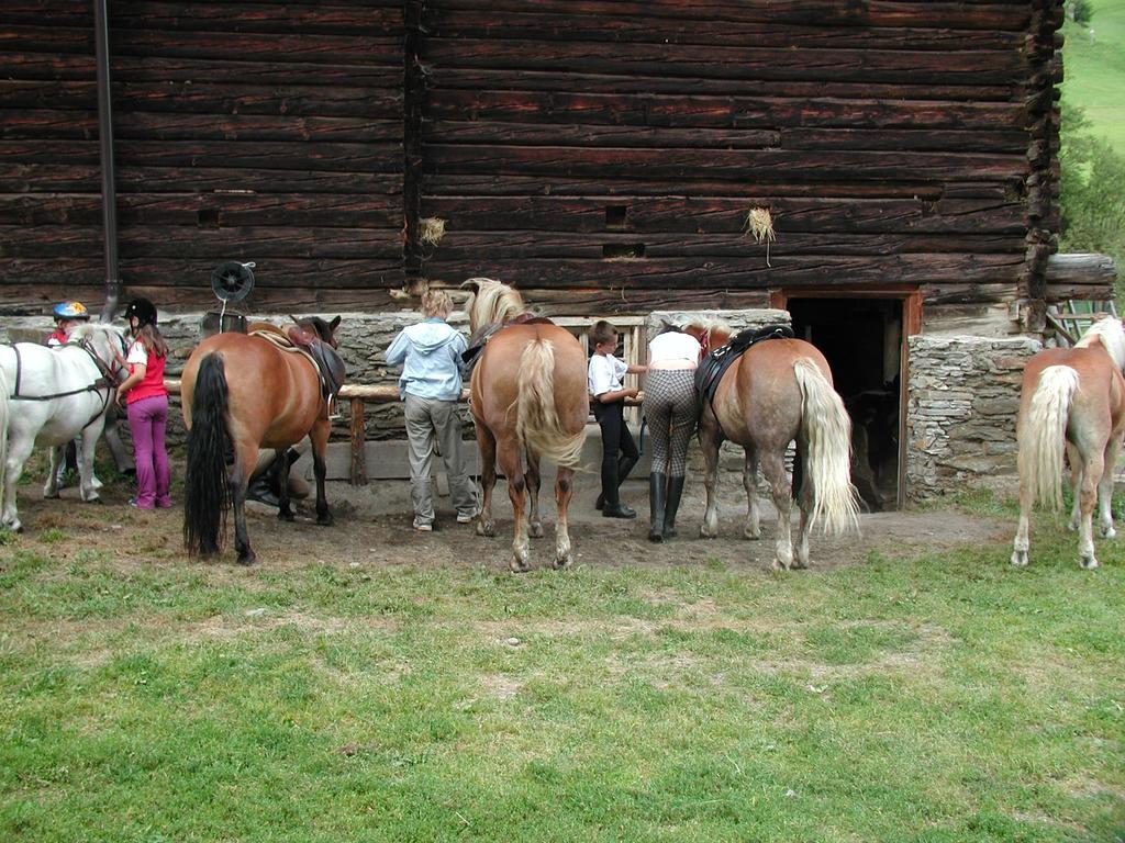 Familienparadies Wolfgangbauer Heiligenblut Buitenkant foto