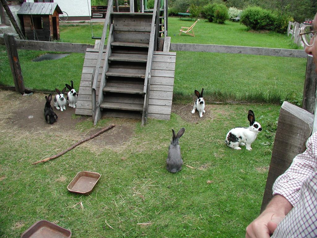 Familienparadies Wolfgangbauer Heiligenblut Buitenkant foto